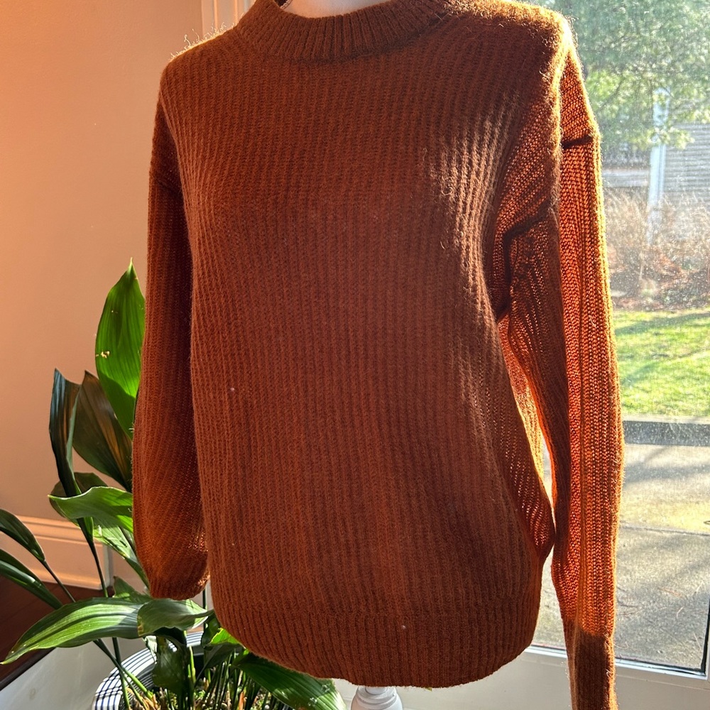 Everlane Alpaca Crew Sweater